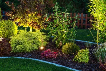 Colorful landscaped garden with shrubs and ornamental trees