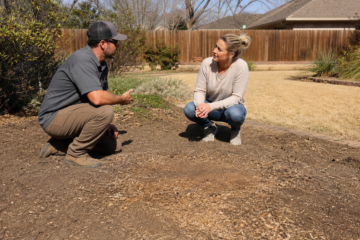 Planning a Yard After Stump Grinding in Abilene — Abilene, Texas